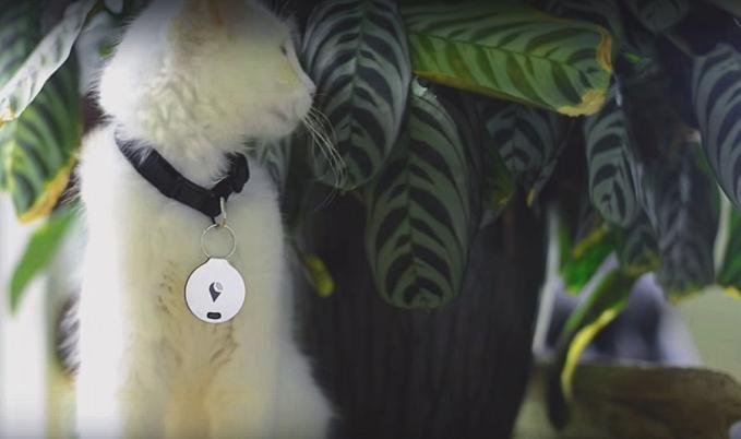 TrackR nyomkövető TrackR a megtalálást segítő kisokos. Kaliforniából jön a pihentagyú találmány és különösen praktikus. Mindent meglelünk vele, amit éppen nem találunk. Mindent, amire előzőleg a TackR rákerült.