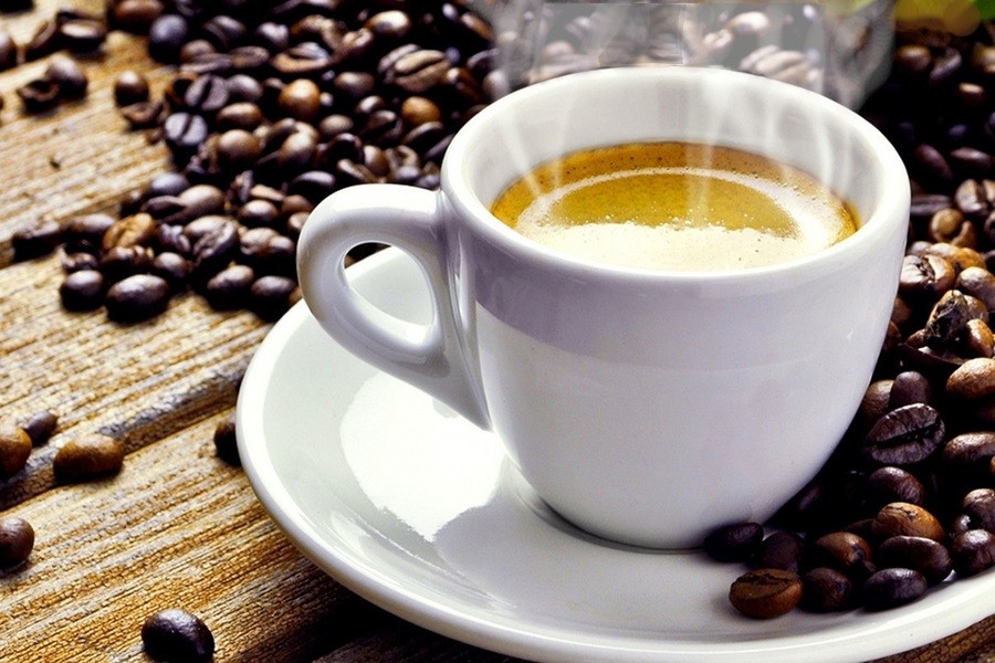 Robert Thurston: A KÁVÉ 3 Kavebab es kave Robert Thurston: A KÁVÉ című kézikönyve inkább kézi, mint könyv mert vagy két kilós súlyával tekintélyt kölcsönöz. A mindenes kézikönyv