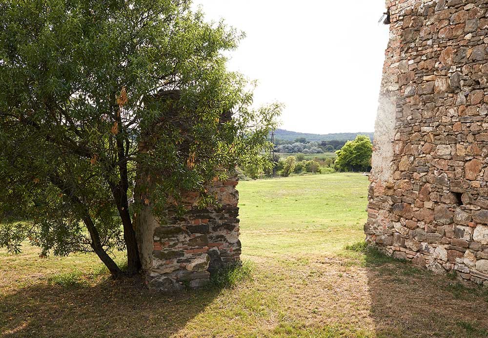 Sef Fesztival Tihanyban helyszin 3 Sztárséfekkel, exkluzív helyszínen, különleges kínálattal várja a hazai minőségi gasztronómia szerelmeseit a Séf Fesztivál Tihanyban