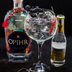 Gin tonic Skorpióval