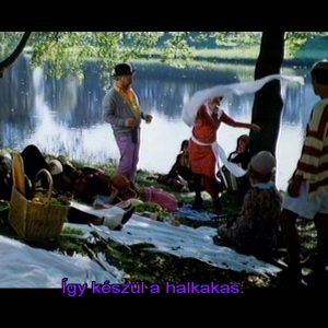 PicassoFinnul Picasso kalandjai svéd filmkomédia olyan ajándék a helyi filmipartól, amely nem várt irányból érkező telitalálat.