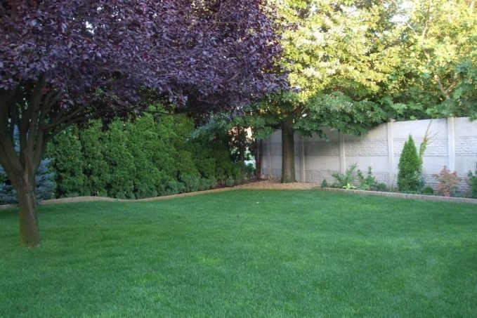 Egész nyáron bámulatos a gyep a kertben