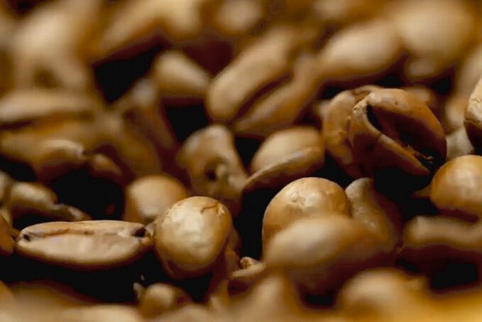 Kipusztulás fenyegeti az Arabica kávéfajtát az ember miatt