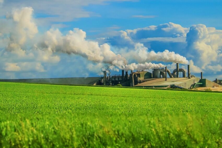 A Föld túlfogyasztásának napja 2021