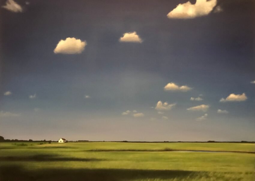 Mike Wallace: Puszta nyár