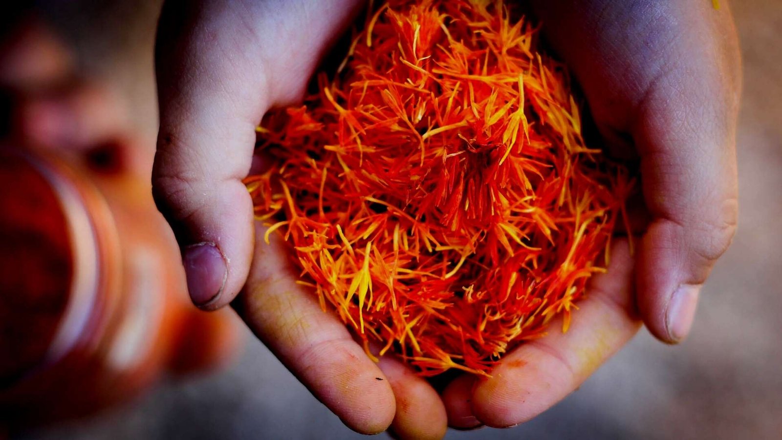 Sáfrány: az egyik legősibb gyógynövény, ami visszaállítja a lelki egyensúlyt 9 Safrany a vilag legdragabb fuszernovenye A sáfrányt az egyik legősibb gyógynövényként tartják számon, vörös aranynak is nevezik.