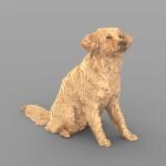 lego kutya Szalay Péternek tízezer támogatói szavazatra lenne szüksége ahhoz, hogy megvalósíthassa gyermekkori álmát és igazi LEGO tervező legyen.