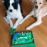 lego kutyafuttato igazi kutyakkal Szalay Péternek tízezer támogatói szavazatra lenne szüksége ahhoz, hogy megvalósíthassa gyermekkori álmát és igazi LEGO tervező legyen.