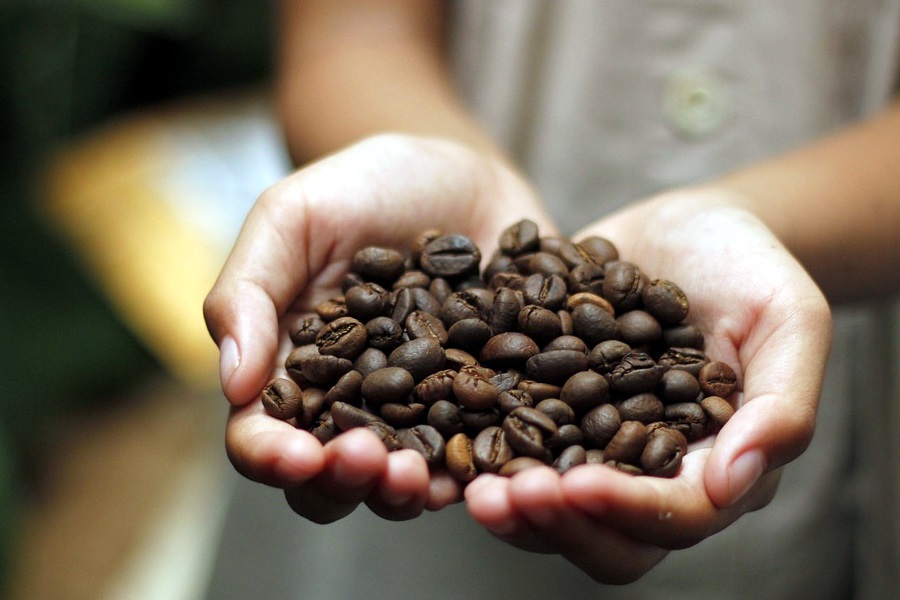 Brazília kávéexportja veszélyben forog 2 Egeszseges porkolt kave Brazília kávéexportja veszélyben forog 2023-ra tekintve, a háttérben több komoly ok találkozik össze.