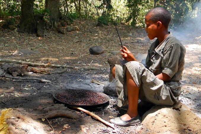 A kávé jövője - fiatalok kávéja
