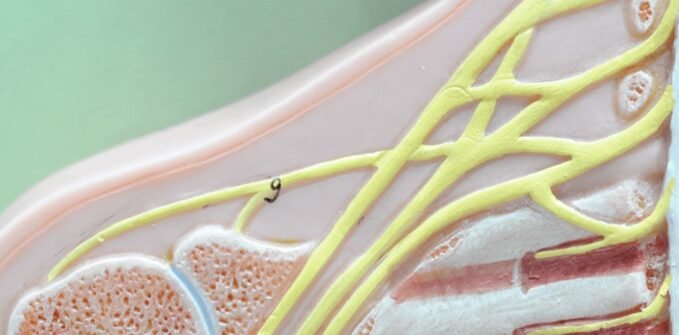 4 tipp, amivel megőrizhetjük a nyirokrendszerünk egészségét