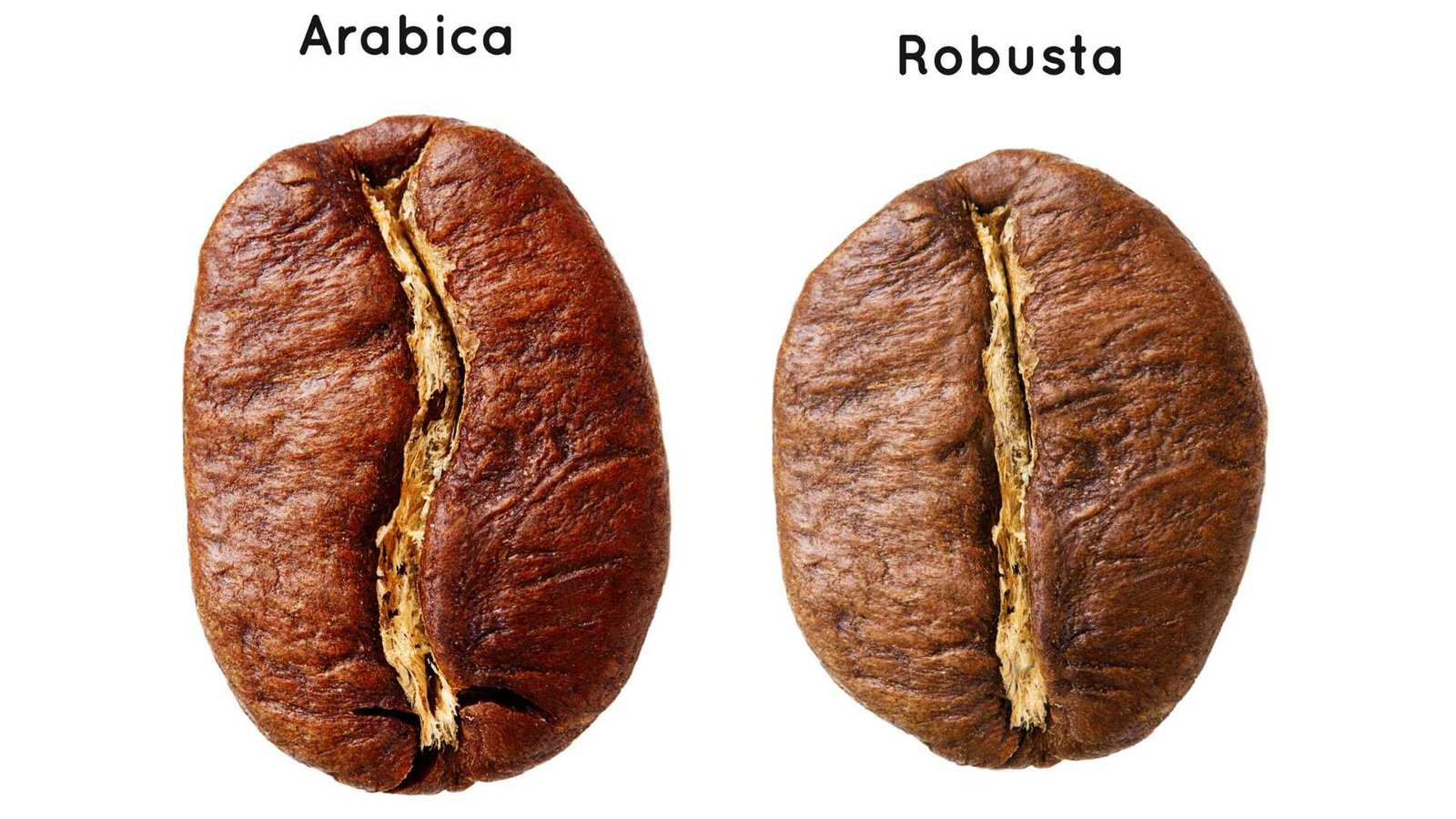 A koffeinmentes kávé evolúciója 3 arabica robusta kavebabok A koffeinmentes kávé története egy izgalmas utazás, amely több mint egy évszázadra nyúlik vissza.