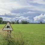 Az érzelmi giccs genezise 2 Az érzelmi giccs genezise